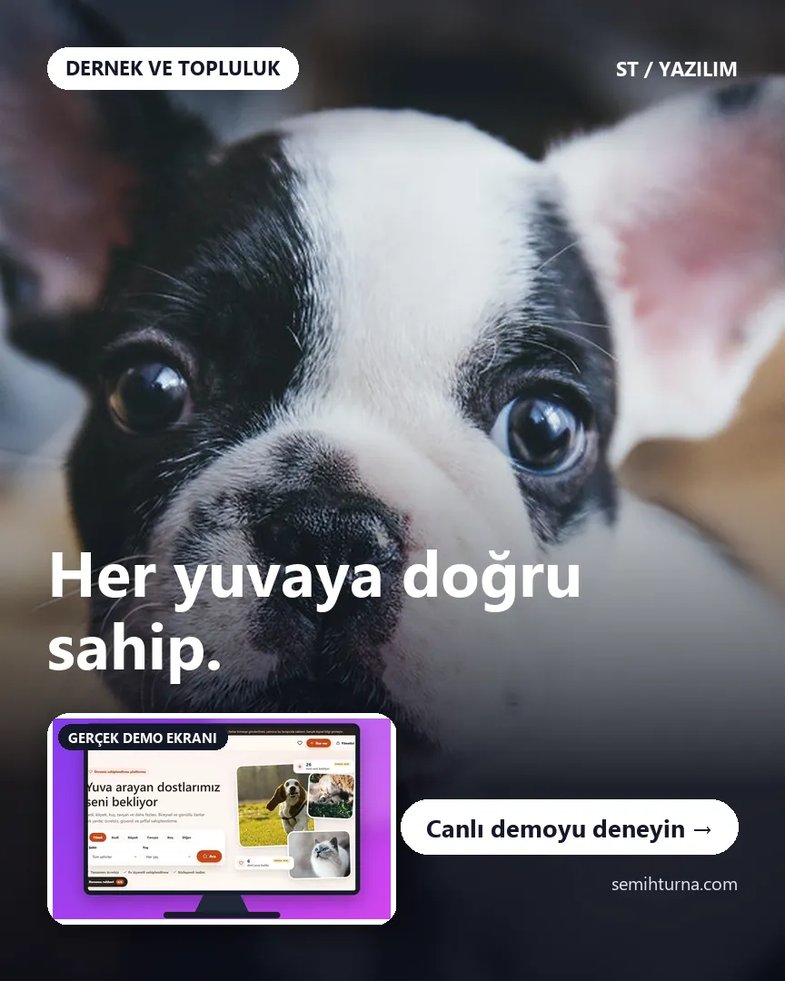 Dost Yuva, Her yuvaya doğru sahip.